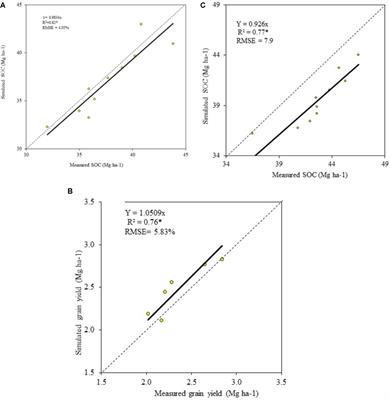 Simulation of Soil Organic Carbon Effects on Long-Term Winter Wheat (Triticum aestivum) Production Under Varying Fertilizer Inputs